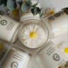 Le Laro Citrus Daisy Luxury Scented Candle