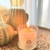 Le Laro Citrus Daisy Luxury Scented Candle