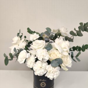 Le Laro Moonlit Elegance