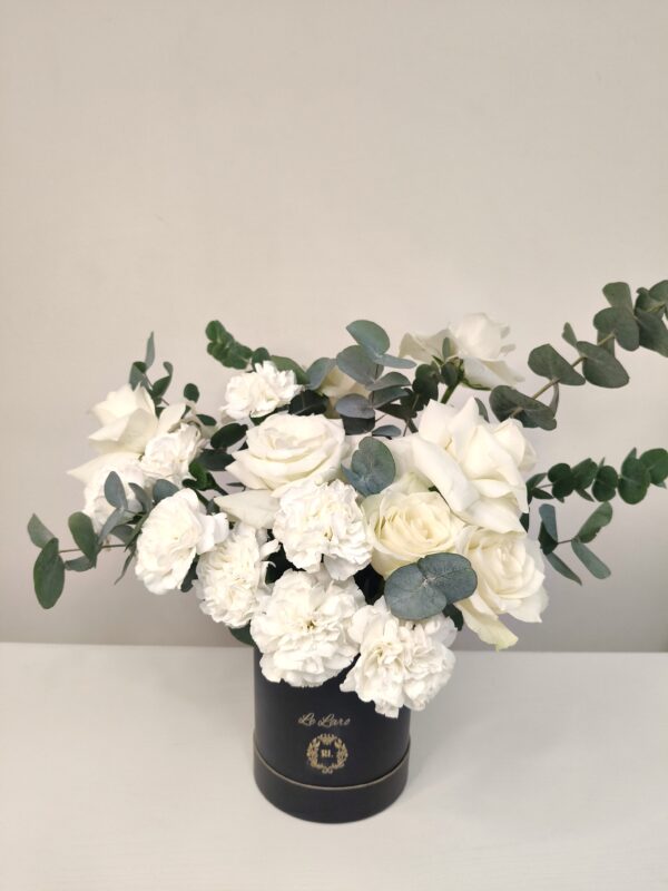 Le Laro Moonlit Elegance